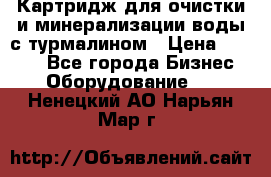 Картридж для очистки и минерализации воды с турмалином › Цена ­ 1 000 - Все города Бизнес » Оборудование   . Ненецкий АО,Нарьян-Мар г.